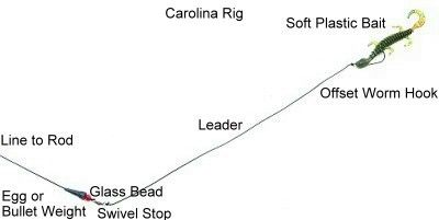 carolina-rig-1